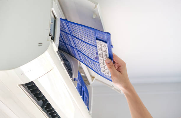 Best Professional Duct Cleaning Services  in Atwood, TN